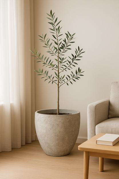 Harbor Stone Planter