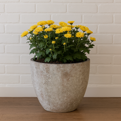 Harbor Stone Planter